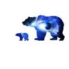 Universe Starry Sky Planet Bear Silhouette Wall Stickers Children Living Room Decoration Painting