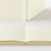 DESIGNPHIL Midori MD Notebook Dot Grid 15387006 - Perfect for Bullet Journaling