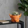 Highland Cow Planter 3D Printed Cute Animal Flower Pot Mini Cow Plant Container for Indoor Outdoor Desk Patio Garden Decor