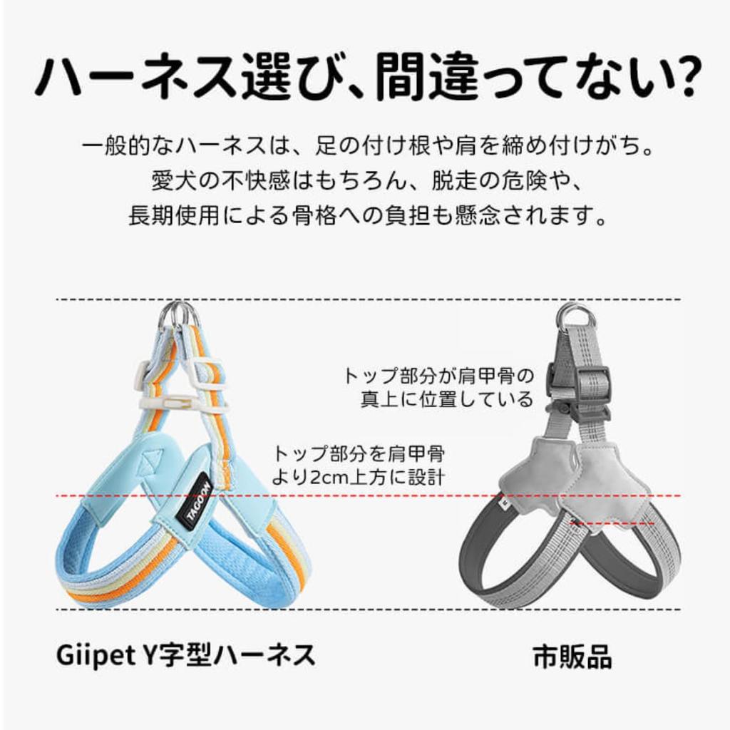 GIIPET Dog Harness and Leash Set for Small and Medium Rainbow Breathable Soft PU Easy with Perfect for Walks and Outings M Dogs, Design, V-Shaped,