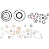 7135-110 DPA CAV Injector Pump Repair Kit Gasket Seal 7135-110R CAV7135-110r 7135 110 7135 110R Compatible with Ford Massey Ferguson Long Tractors