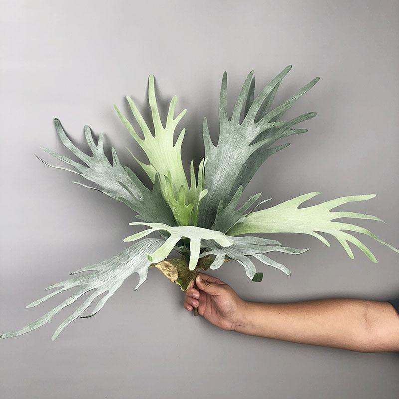 New Artificial Deer Antler Leaves Pteridophyte Artificial Flower Succulents Plants for Home Wedding Outdoor Floor Decoration