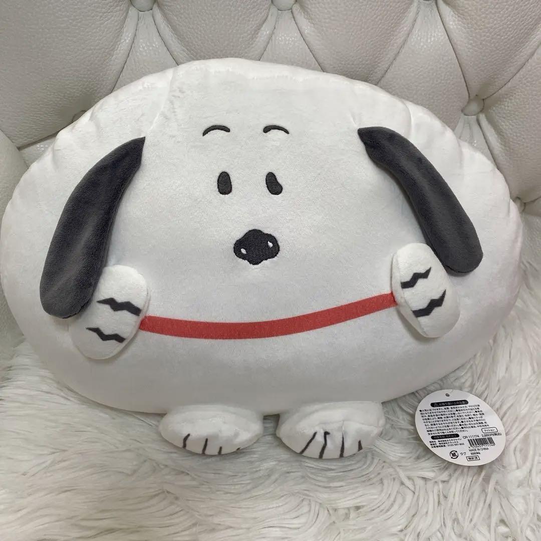 

[USED] cushion