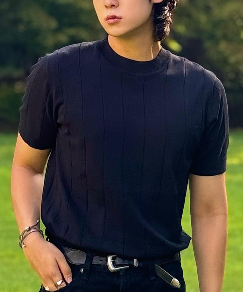 HERVINO Cable Round Neck Muscle Fit Short Sleeve Knit [Black]