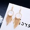 Korean Symmetrical Sweet  Fringed Temperament Personality Daily Earrings