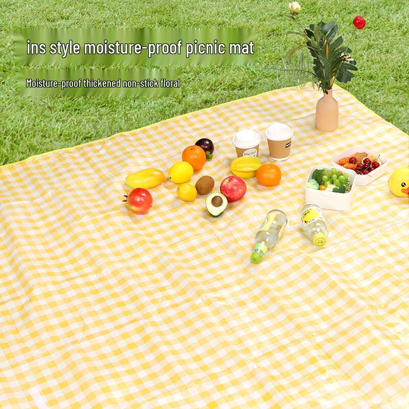 Outdoor Picnic Mat