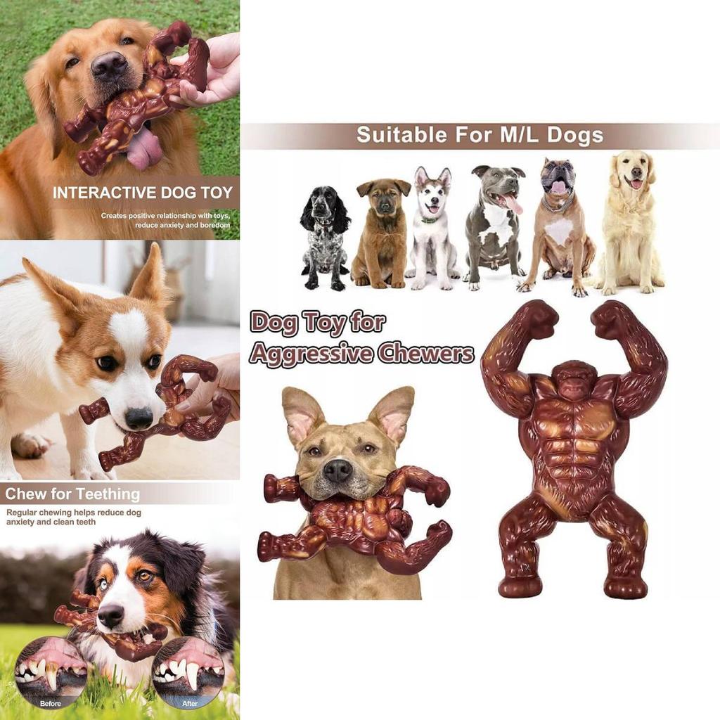 Langlebiges Nylon-Hundekauspielzeug mit Rindfleischgeschmack Ideal für Stressabbau und Training