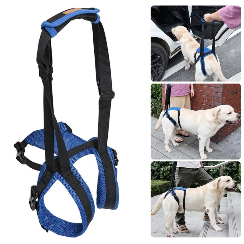 Pet Rear Leg Support Assistance Strap With Upgraded Design Auxiliary Belt For Joint Pressure Relief And Easy Movements