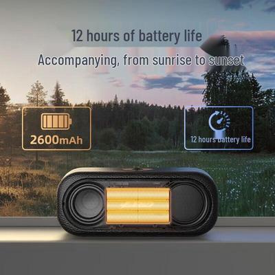 F&D RW20 Tragbarer Bluetooth-Lautsprecher CN-Stecker (Adapter enthalten)