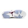 Jordan 6 Retro Grape GS 543390-127