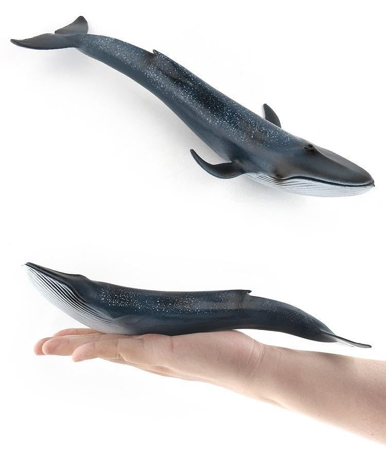 [Nekogamiyama] Blue Whale, Shiranagasu Whale, Marine Life Figurine, Model, Miniature, Ornament, Interior Decor, Collectible Model