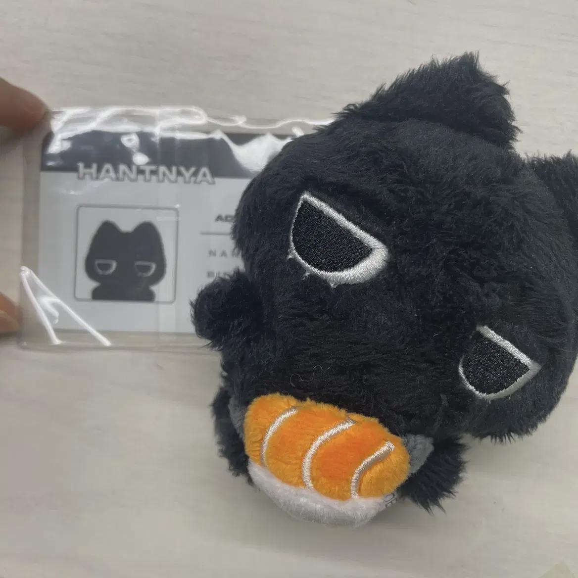 

Hanti, Khanty, Han T, Han T, Boynextdoor Taisan 10cm Doll