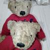 [USED] Regal Novelty Teddy Bear (Not for Sale)