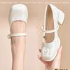 Mary Jane high heels women's autumn new thick heel with cheongsam skirt medium heel single shoes