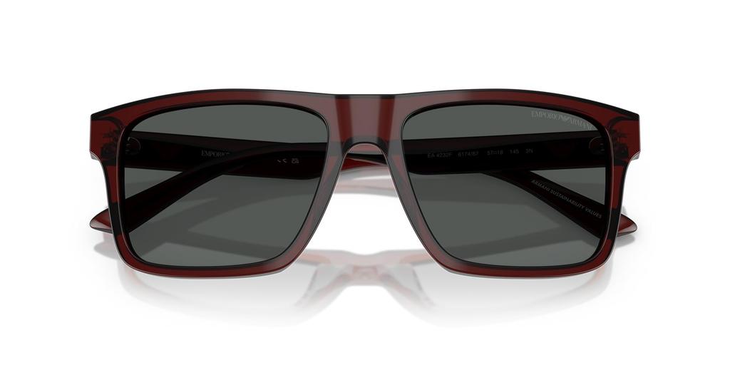 Sunglasses 0EA4232F TRANSPARENT BROWN 57 [Emporio Armani]