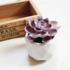 1Pc Artificial Flower Succulent Plant Bonsai DIY Garden Office Home Party Decor