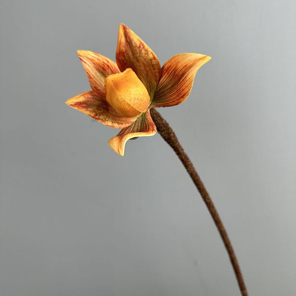

Real Touch Artificial Slipper Orchid Single Branch Silk Orchid Flower Home Restaurant жёлтый