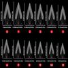 120pcs Curved Stiletto Hawk Carving Nails Transparent False Nail Tips  for Poly Nail Gel Extension