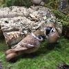 HANSA Plush Toy 7019 Sparrow 10 TREE SPARROW