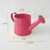Home Watering Pot Large Capacity Water Spraying Pot Mini Watering Can  for Children