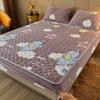 Lenzuolo con angoli in velluto 90x200 Lenzuolo addensato per la casa Coprimaterasso caldo Queen Size fundas de colchón