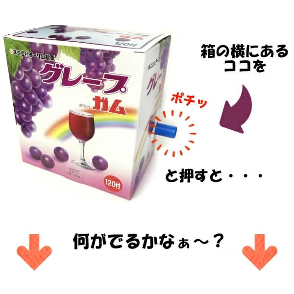 Chi Lin Confectionery Grape Marble Gum 20 Pieces In (Push-out Type) (Sold Case)