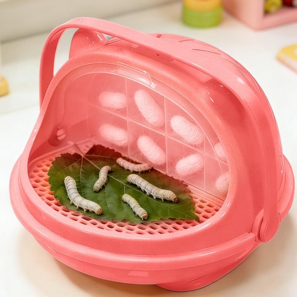 

with Handle Silkworm Breeding Box Transparent Silkworm Baby Warehouse Insect Observation