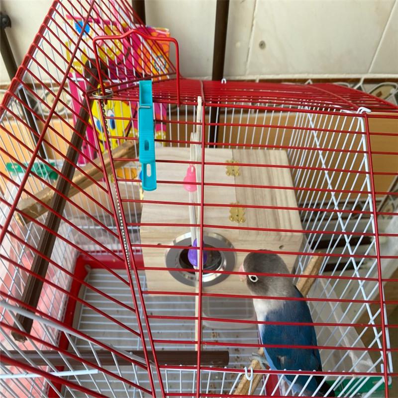 Holz Vogelhaus Nest Vögel Zuchtkasten Vogel Papagei Zucht Dekorative Käfige Haustierzubehör Zuhause Balkondekoration