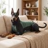 High Stretch Fleece Dog Jumpsuit Soft Warm Dog Warm Pajamas Dog Winter Home Outfit Sleeping