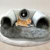 3-in-1 Cat Tunnel Bed, Convertible Play Tunnel & Warm Nest with Non-Slip Bottom, Cozy Plush Pet Mat for Cats, Rabbits