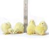 Mini Scene Model Home Decoration Easter  Chick Simulation Furry Chicken Lifelike Bird