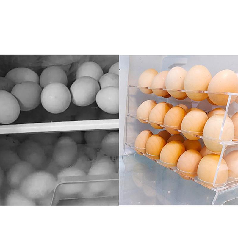 6/10 Holes Egg Storage Container Refrigerator Holder Display Organisers
