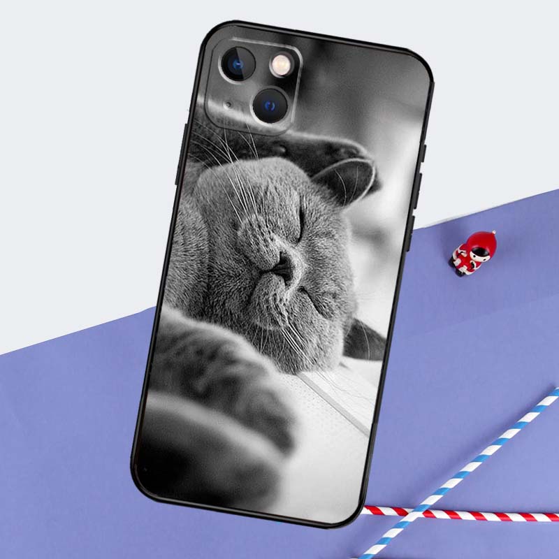 Beautiful Grey British Shorthair Cat Phone Case For iPhone 16 Pro Max 11 13 14 15 Pro Max 12 Mini XR 16 15 Plus 16e Back Cover