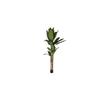 Decorative Plant In Polyethylene - Home ESPRIT - Multicolor - 90x90x290 Cm - Cement Banana - Lightweight
