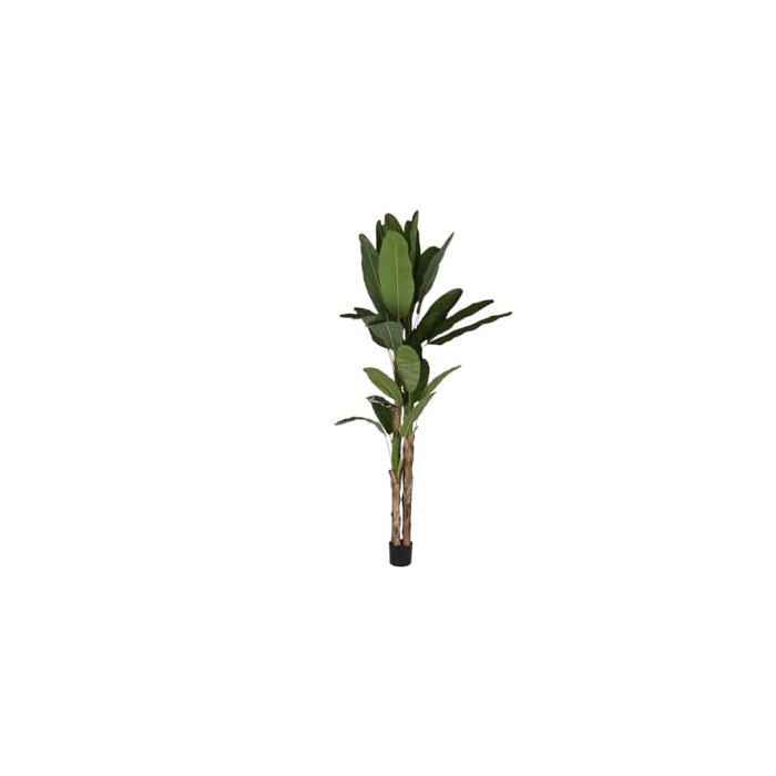 Decorative Plant In Polyethylene - Home ESPRIT - Multicolor - 90x90x290 Cm - Cement Banana - Lightweight