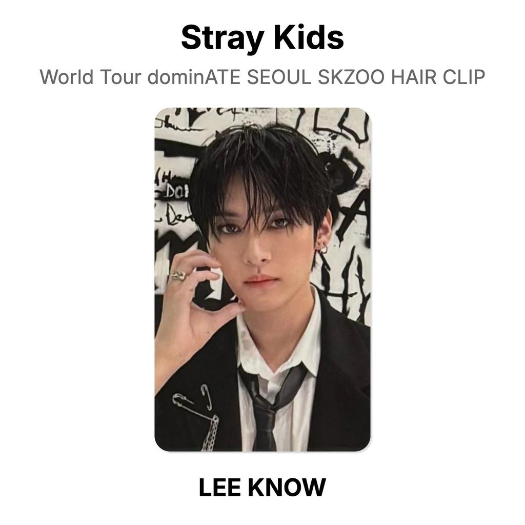 Stray Kids World Tour dominATE SEOUL SKZOO HAIR CLIP Official Photocard