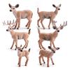 Children's Cognitive Forest Animal Deer Set: White-tailed Deer Fawn Ornaments & Figurines