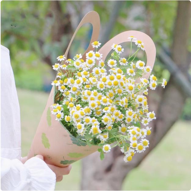 Kullanışlı ve Şık Çiçek Bez Çantalar: Günlük Çiçek Keyifleri İçin İdeal Arkadaşınız 10 adet