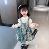 Autumn Baby Girl Lolita Princess Two-Piece Dress Set