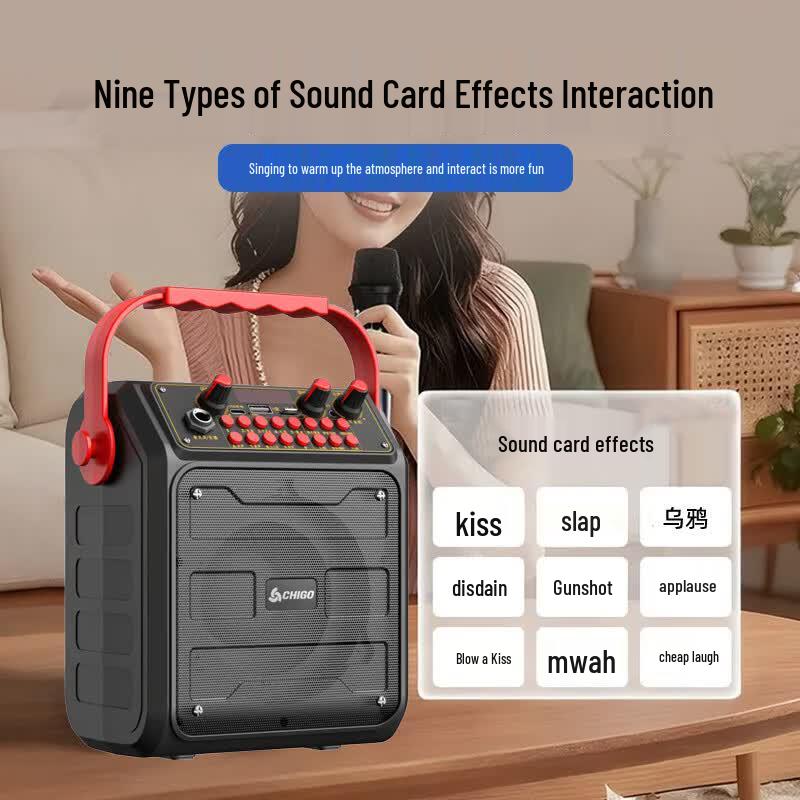 CHIGO Portable Bluetooth K-Song Speaker (CN version)
