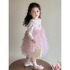 2025 Autumn Girls' Fashion: Baby Girl Two-Piece Princess Dress Set