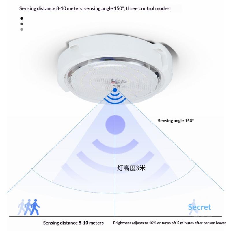 Solar Lights Home Top Ceiling House Indoor Outdoor Garden Pandent Light Panel Lamp Fixture For Corridor Garden Living Room