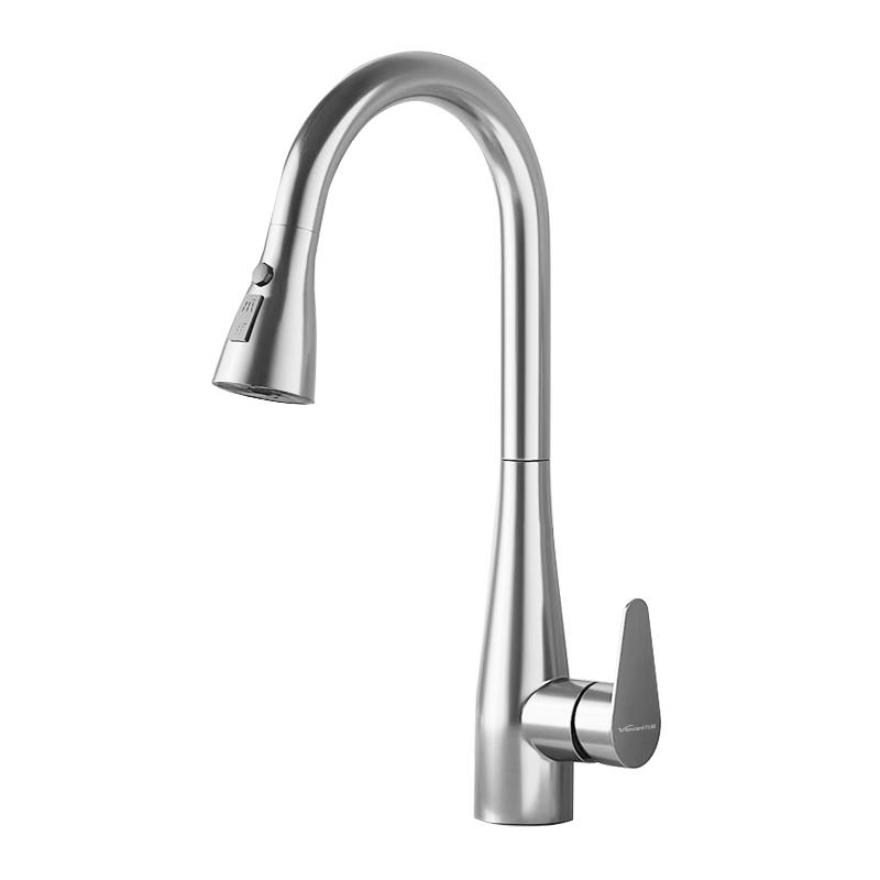 Vanward 3-Function Hot & Cold Pull-Out Kitchen Faucet Standard