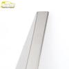 Tiana Side Skirt Trim & Door Panel Bumper Decorative Anti-Scratch Strip