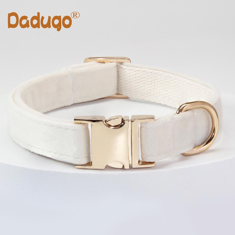 Graviertes Anti-Verlust-Hundehalsband- und Leinen-Set – verstellbar für mittelgroße bis große Hunde