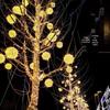 Low Voltage 50cm LED Vine Ball String Lights (5-Pack)
