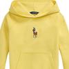 Polo Ralph Lauren Printed Hooded Pullover Sweatshirt Kids Sweatshirts 313965121-002