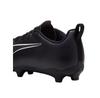Футбольные бутсы Puma 107695-02