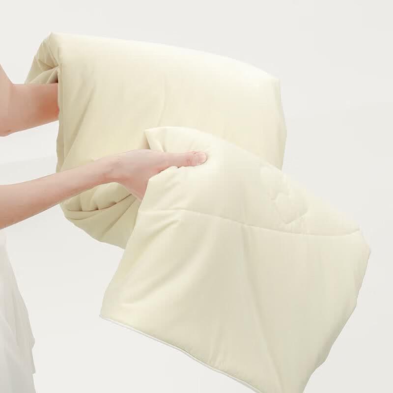 Mercury Home Textiles Summer Refreshing Quilt