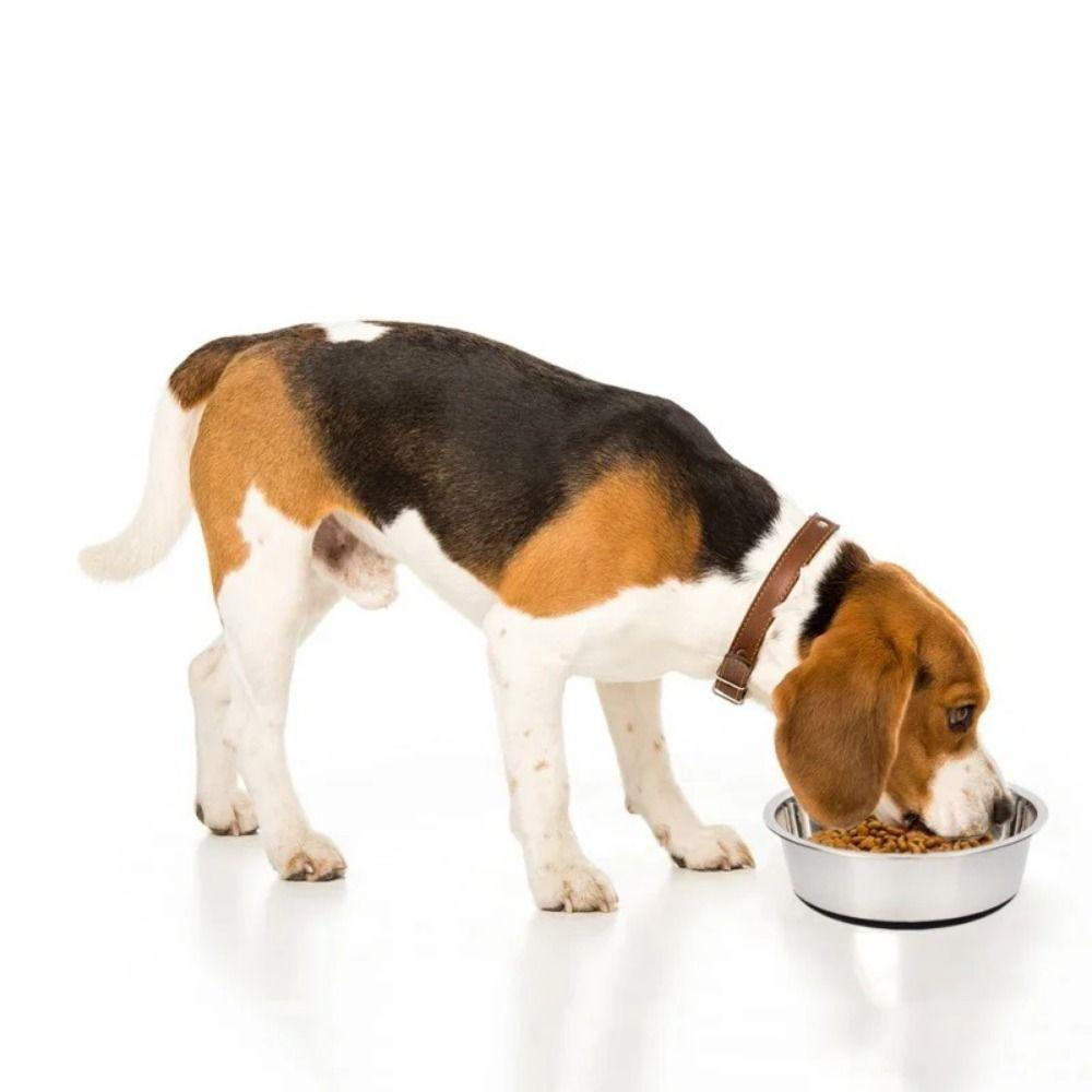 Nonslip Silicone Base Pet Feeders Stainless Steel Dog Basin Practical Dog Bowls  Puppy